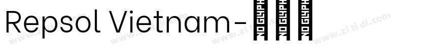 Repsol Vietnam字体转换